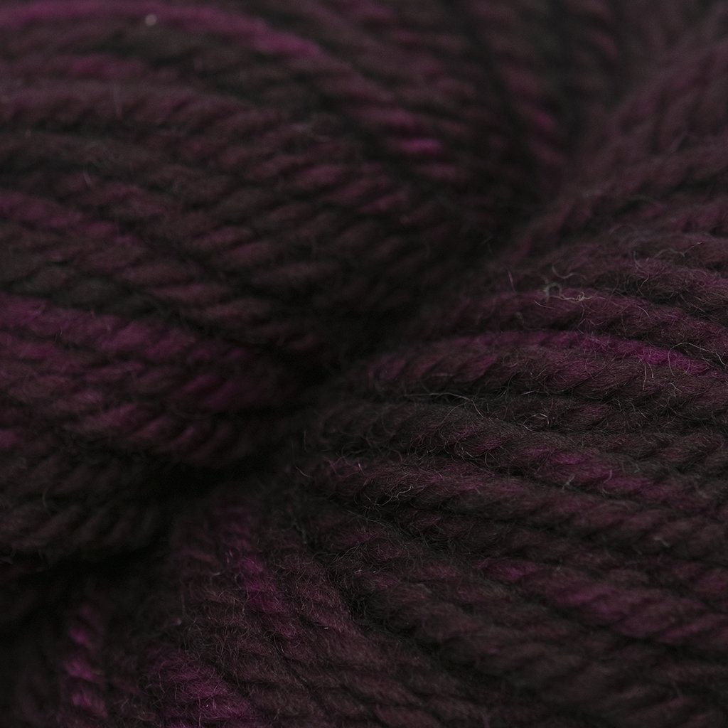 Koigu Chelsea Merino -45409834 | Yarn at Michigan Fine Yarns