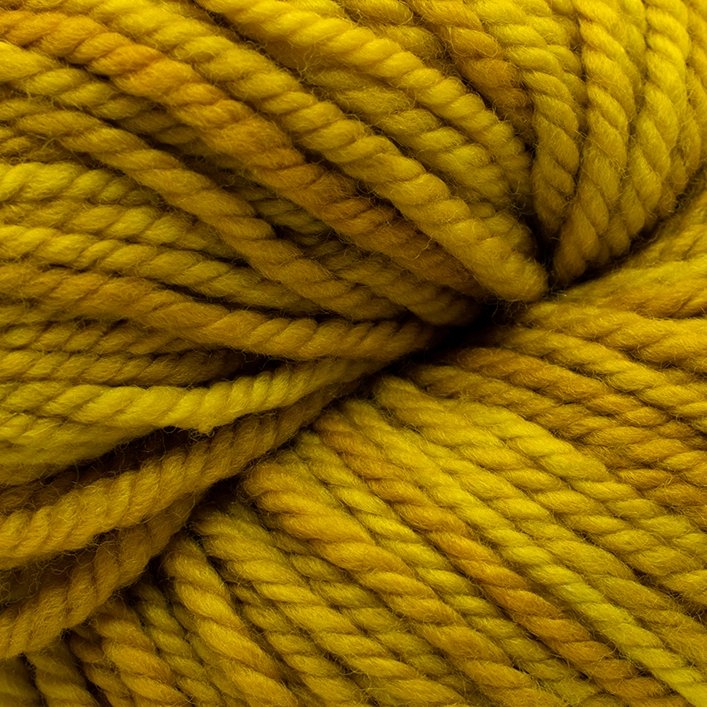 Koigu Chelsea Merino -65473066 | Yarn at Michigan Fine Yarns