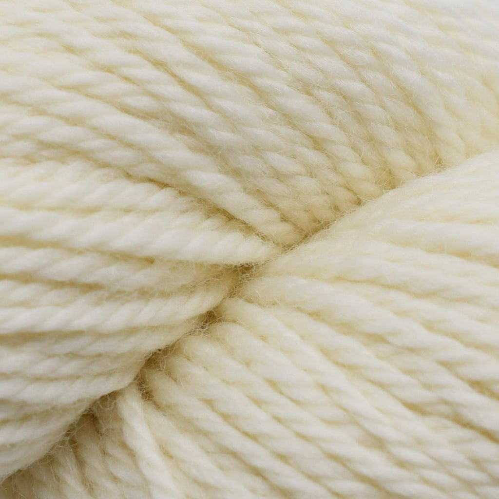 Koigu Jasmine -J000 31676970 | Yarn at Michigan Fine Yarns