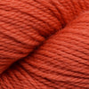 Koigu Jasmine -J1195 38230570 | Yarn at Michigan Fine Yarns