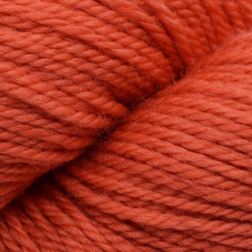 Koigu Jasmine -J1195 38230570 | Yarn at Michigan Fine Yarns