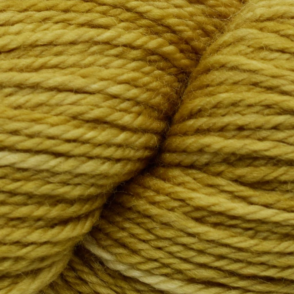 Koigu Jasmine -J4233 38328874 | Yarn at Michigan Fine Yarns