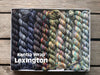 Koigu Koigu KPPPM Pencil Box Sets -Lexington 20230698 | Yarn at Michigan Fine Yarns