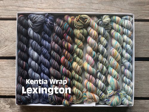 Koigu Koigu KPPPM Pencil Box Sets -Lexington 20230698 | Yarn at Michigan Fine Yarns