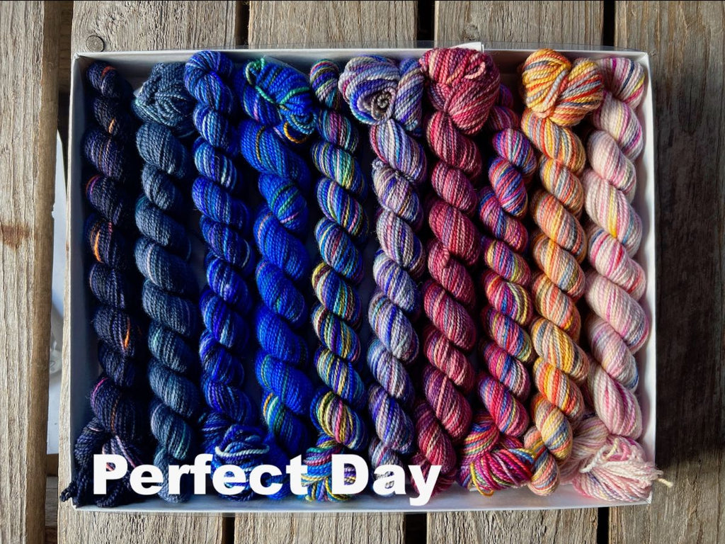Koigu Koigu KPPPM Pencil Box Sets -Perfect Day | Yarn at Michigan Fine Yarns