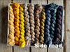 Koigu Koigu KPPPM Pencil Box Sets -Side Road | Yarn at Michigan Fine Yarns