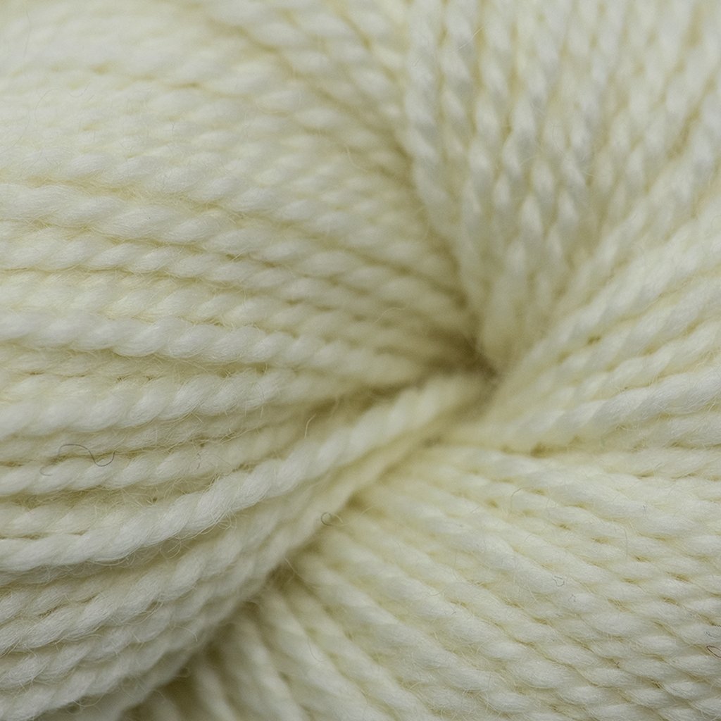 Koigu KPM (1000s) -0000 91390250 | Yarn at Michigan Fine Yarns