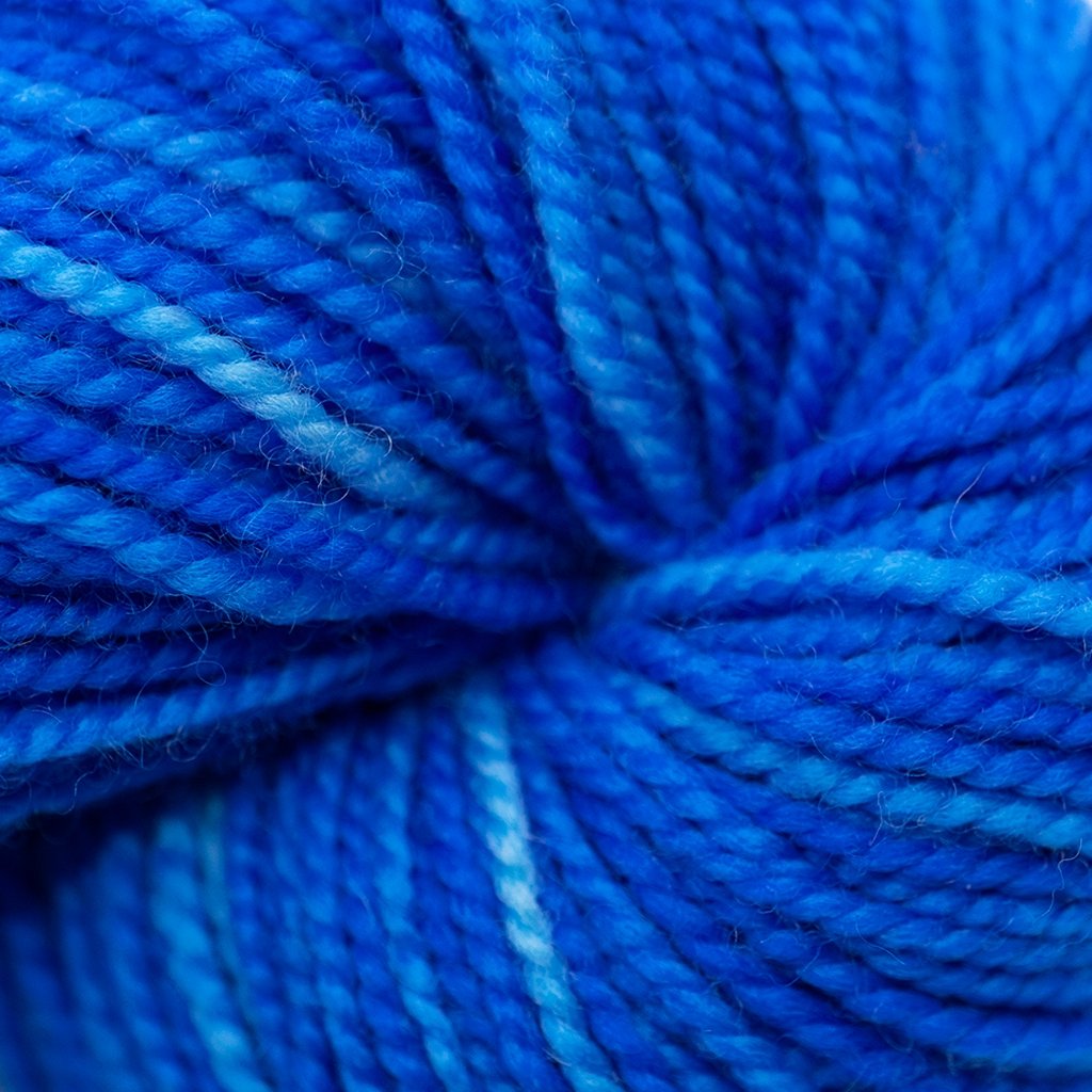 Koigu KPM (1000s) -1020 31295530 | Yarn at Michigan Fine Yarns