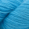 Koigu KPM (1000s) -1070 | Yarn at Michigan Fine Yarns