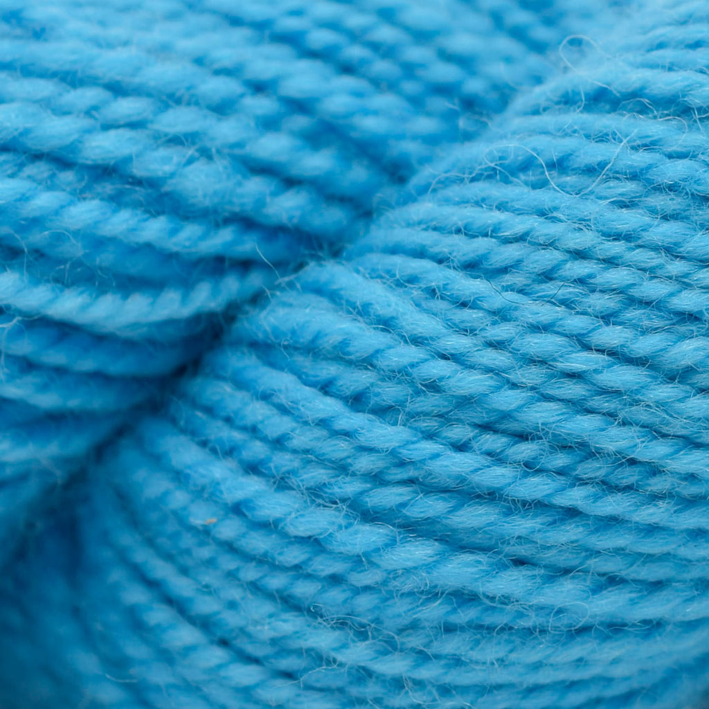 Koigu KPM (1000s) -1070 | Yarn at Michigan Fine Yarns