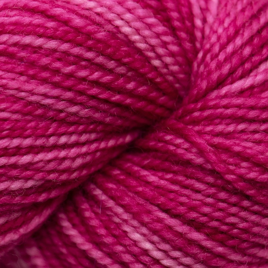 Koigu KPM (1000s) -1105 31426602 | Yarn at Michigan Fine Yarns