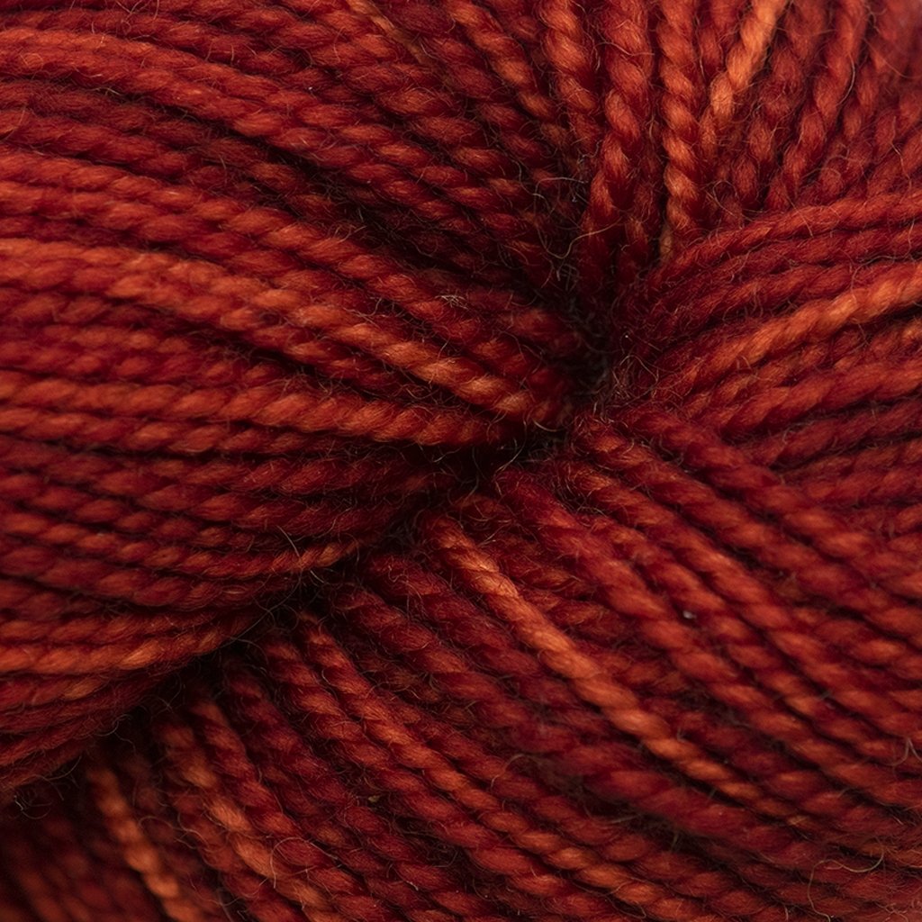 Koigu KPM (1000s) -1110 31459370 | Yarn at Michigan Fine Yarns
