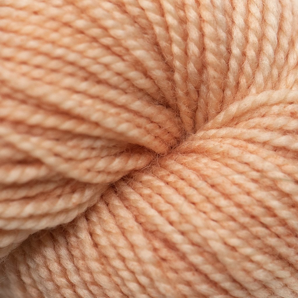 Koigu KPM (1000s) -1111 31492138 | Yarn at Michigan Fine Yarns