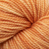 Koigu KPM (1000s) -1112 31524906 | Yarn at Michigan Fine Yarns