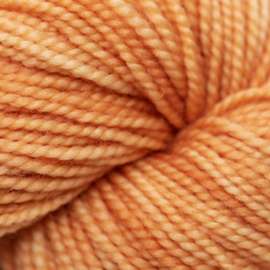 Koigu KPM (1000s) -1112 31524906 | Yarn at Michigan Fine Yarns