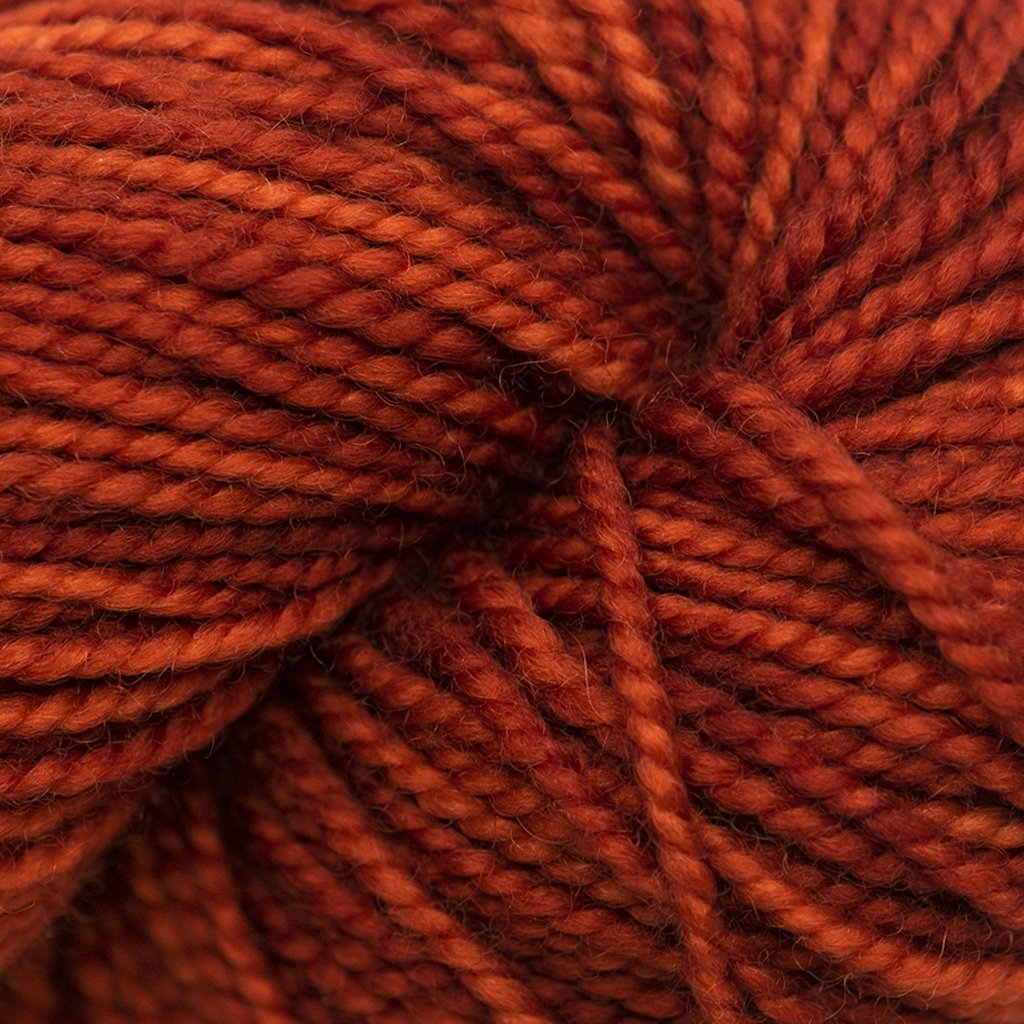 Koigu KPM (1000s) -1115 04294186 | Yarn at Michigan Fine Yarns