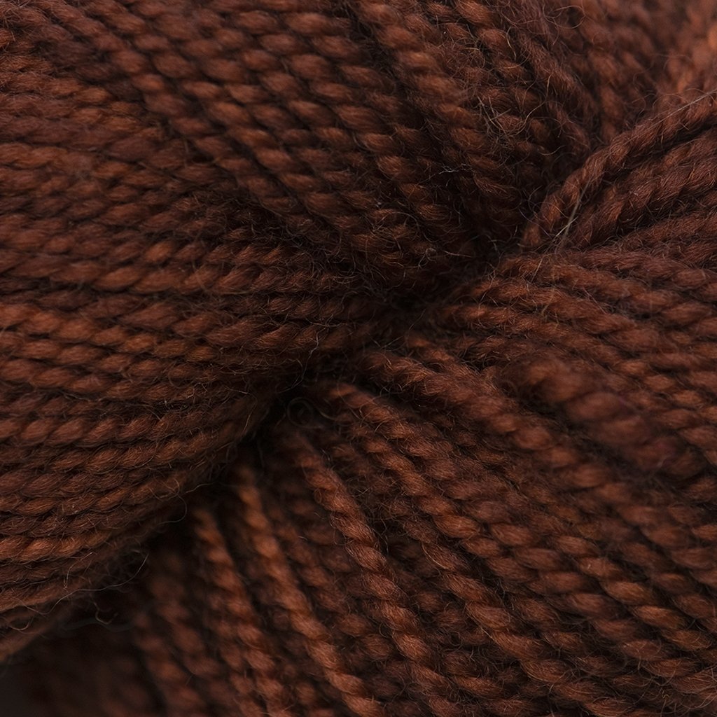 Koigu KPM (1000s) -1128 31688746 | Yarn at Michigan Fine Yarns