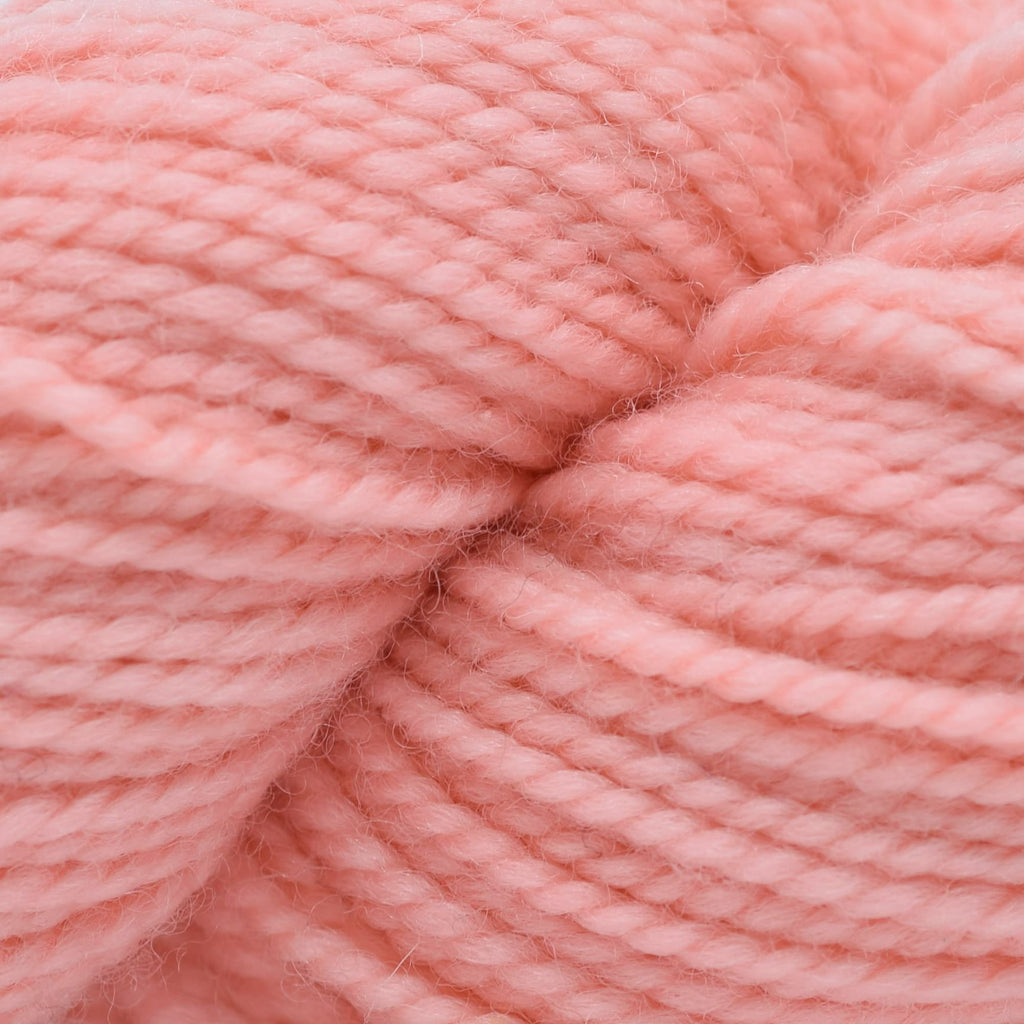 Koigu KPM (1000s) -1132 | Yarn at Michigan Fine Yarns