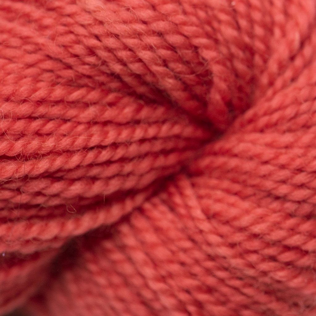 Koigu KPM (1000s) -1133 31754282 | Yarn at Michigan Fine Yarns