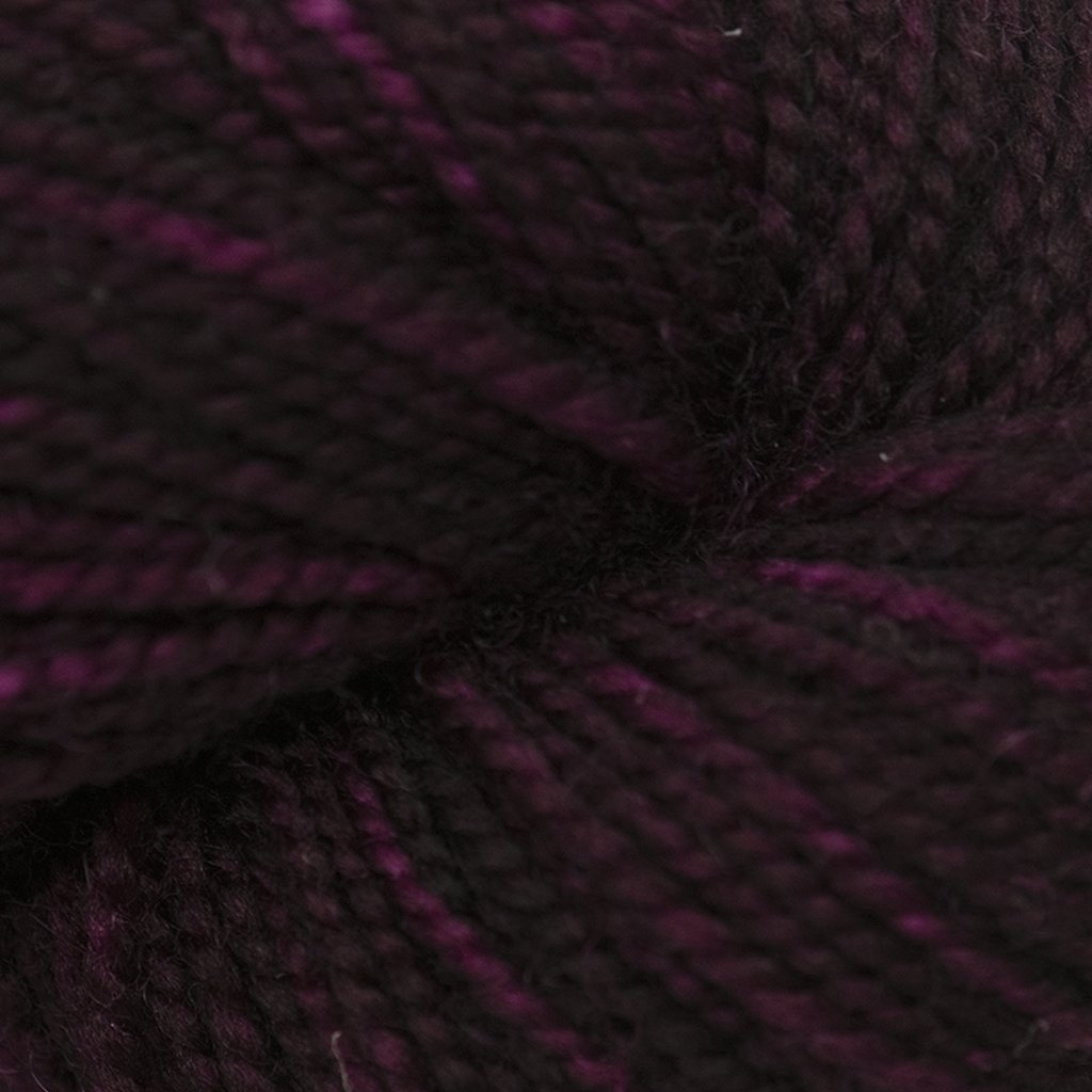 Koigu KPM (1000s) -1160 31885354 | Yarn at Michigan Fine Yarns