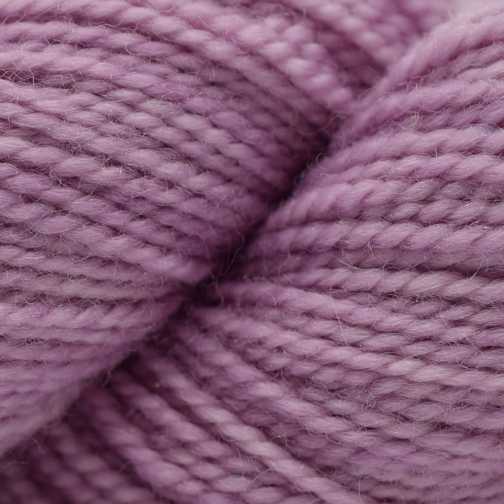 Koigu KPM (1000s) -1162-0011 | Yarn at Michigan Fine Yarns