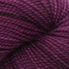 Koigu KPM (1000s) -1165 31950890 | Yarn at Michigan Fine Yarns