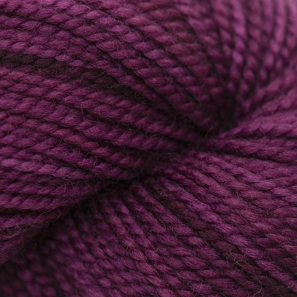 Koigu KPM (1000s) -1165 31950890 | Yarn at Michigan Fine Yarns
