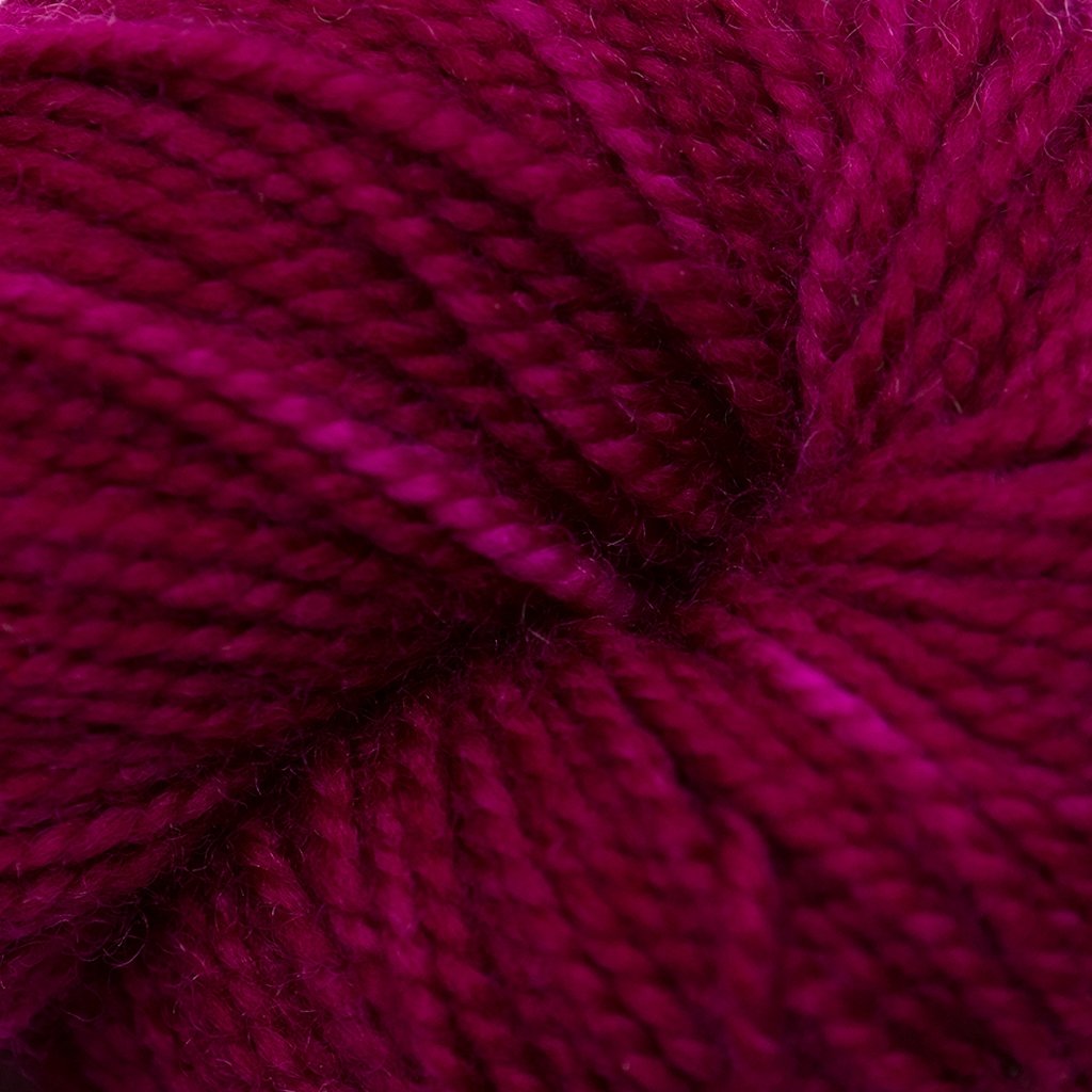 Koigu KPM (1000s) -1170 31983658 | Yarn at Michigan Fine Yarns
