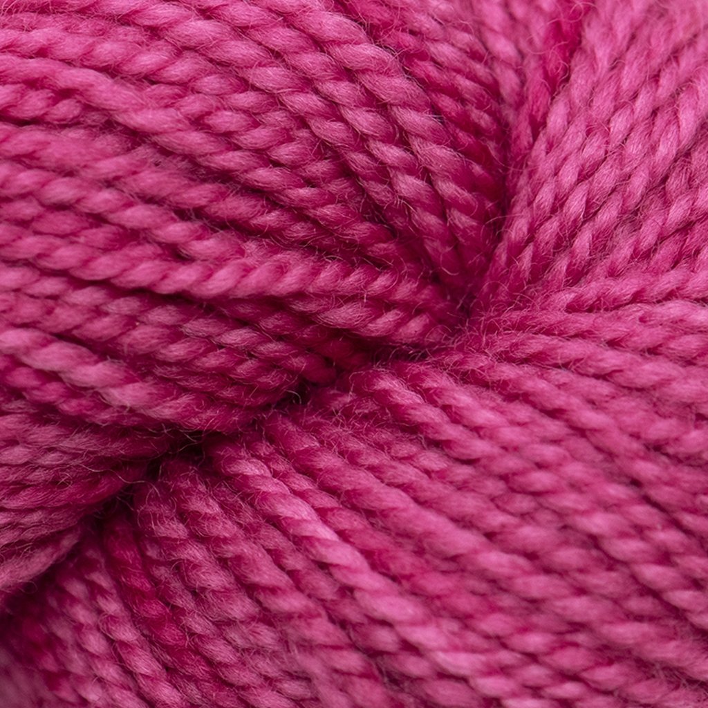 Koigu KPM (1000s) -1182 15343658 | Yarn at Michigan Fine Yarns
