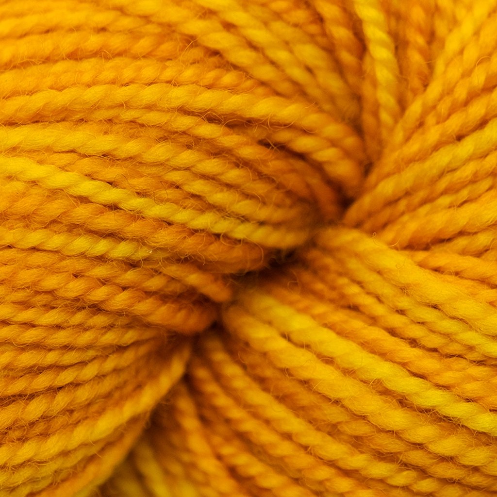 Koigu KPM (1000s) -1200 32147498 | Yarn at Michigan Fine Yarns