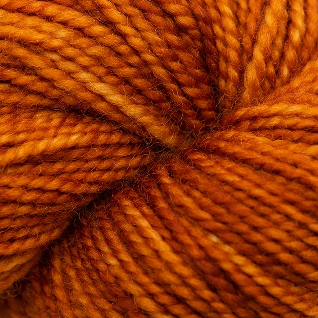 Koigu KPM (1000s) -1220-106 05146154 | Yarn at Michigan Fine Yarns