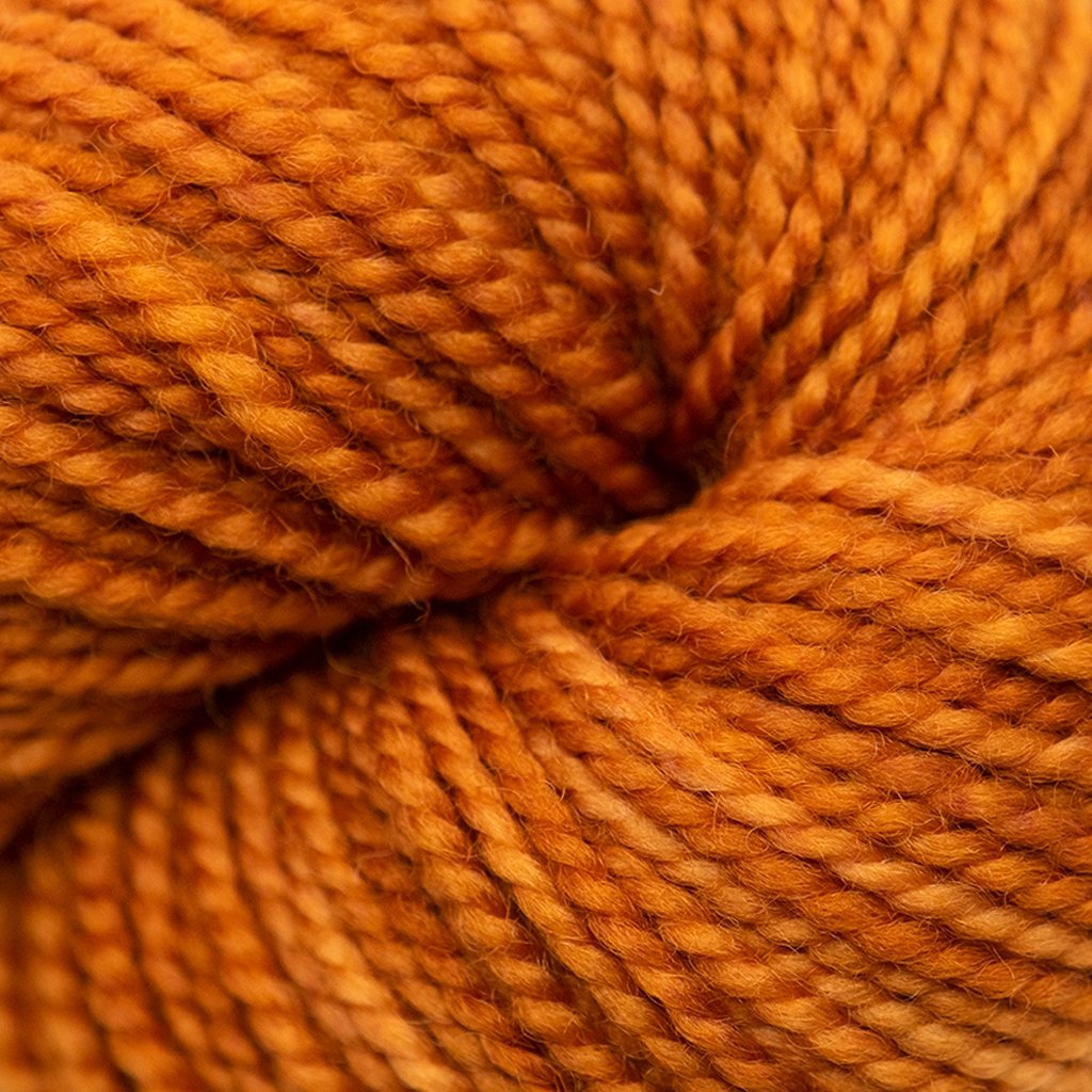 Koigu KPM (1000s) -1220 23207978 | Yarn at Michigan Fine Yarns
