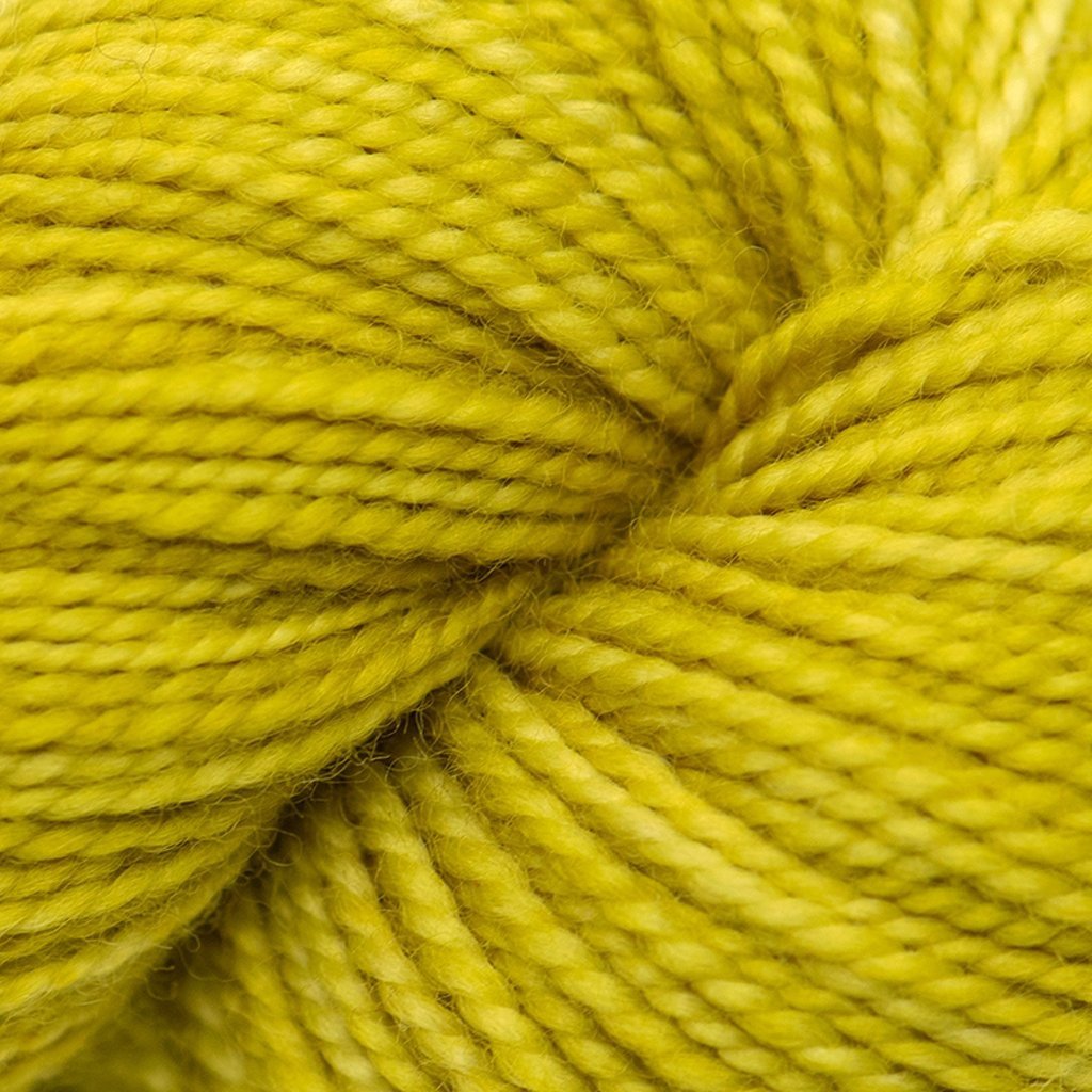 Koigu KPM (1000s) -1231 32213034 | Yarn at Michigan Fine Yarns
