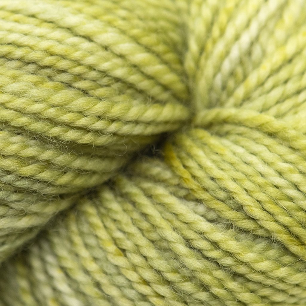 Koigu KPM (1000s) -1233 32245802 | Yarn at Michigan Fine Yarns