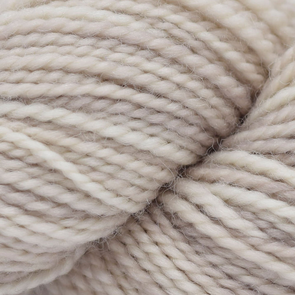 Koigu KPM (1000s) -1303 | Yarn at Michigan Fine Yarns