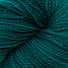 Koigu KPM (1000s) -1500 32344106 | Yarn at Michigan Fine Yarns