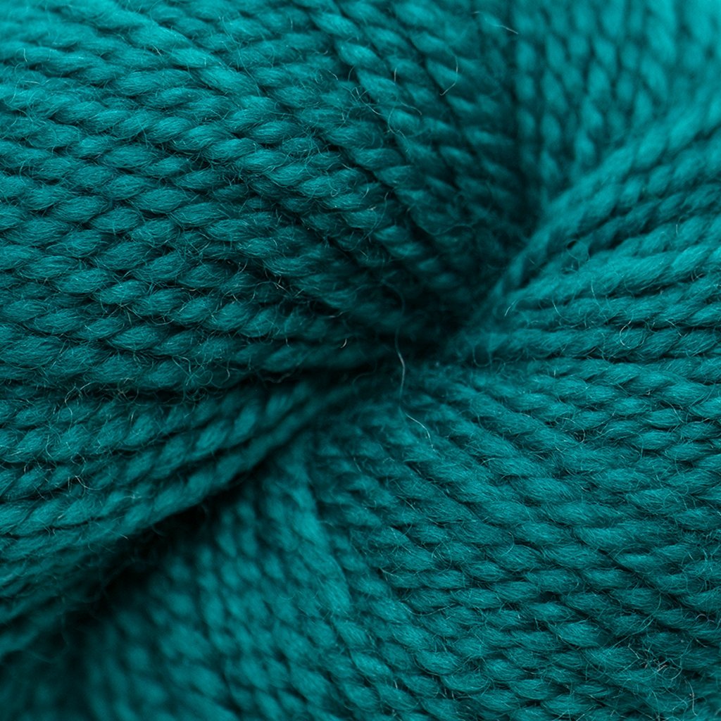 Koigu KPM (1000s) -1505 32376874 | Yarn at Michigan Fine Yarns