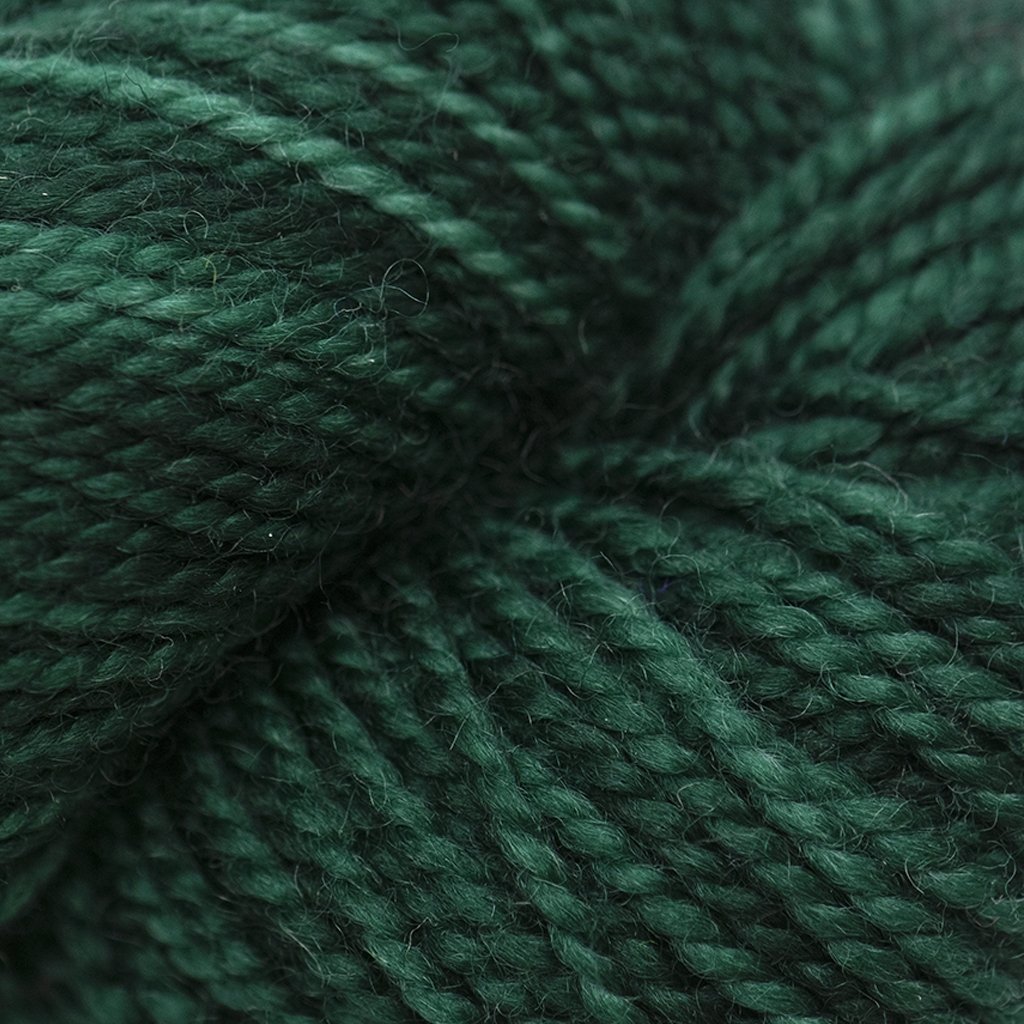 Koigu KPM (1000s) -1515 32442410 | Yarn at Michigan Fine Yarns