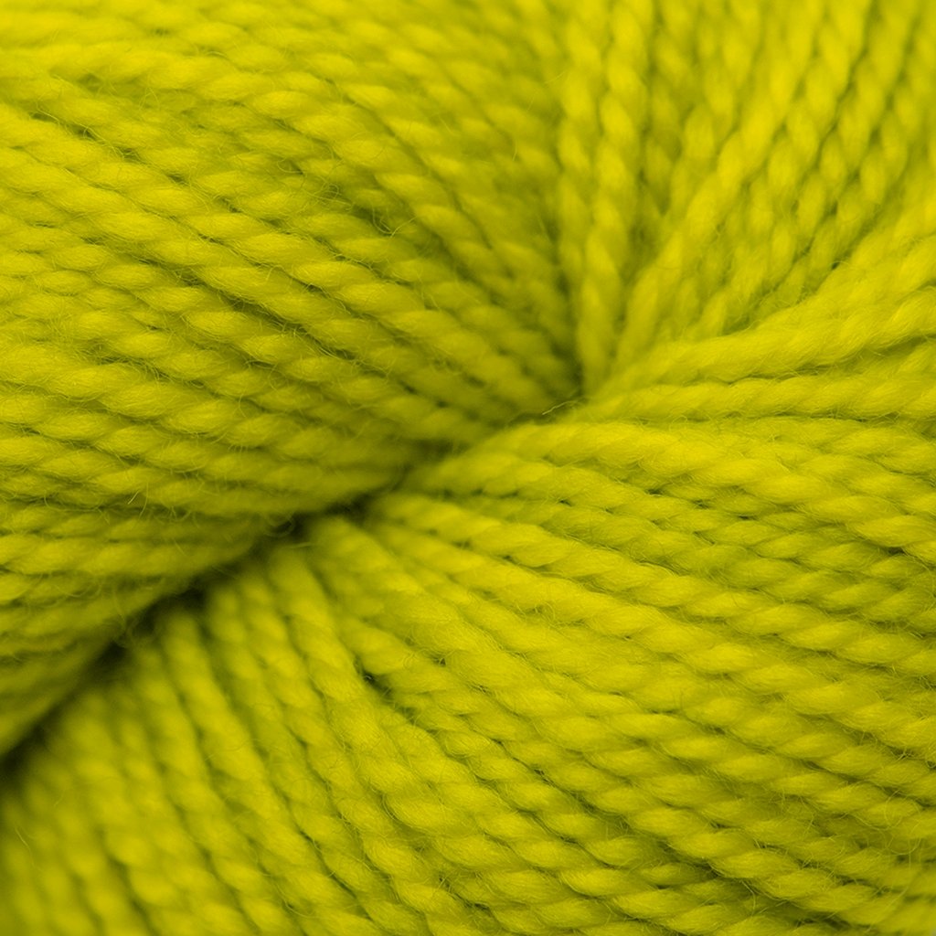 Koigu KPM (1000s) -1520 32475178 | Yarn at Michigan Fine Yarns