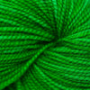 Koigu KPM (1000s) -1530 32540714 | Yarn at Michigan Fine Yarns