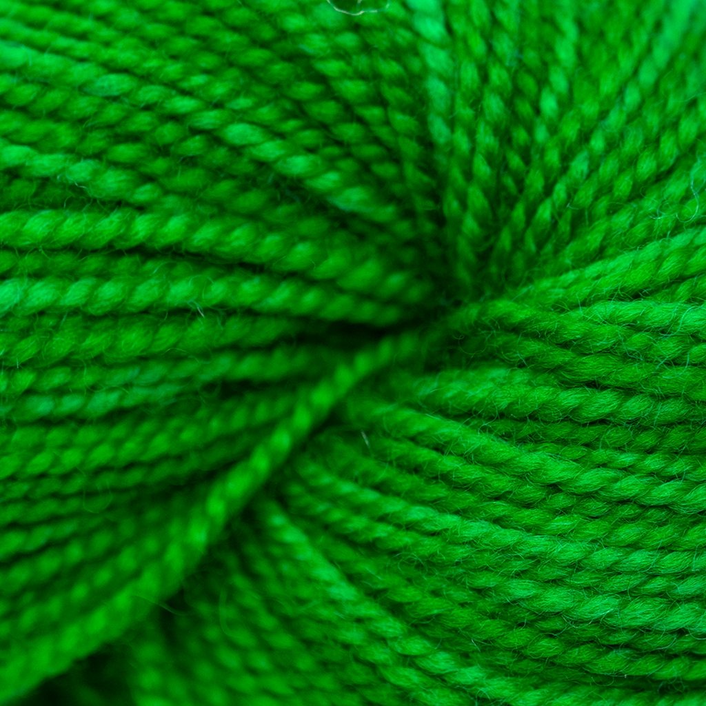 Koigu KPM (1000s) -1530 32540714 | Yarn at Michigan Fine Yarns
