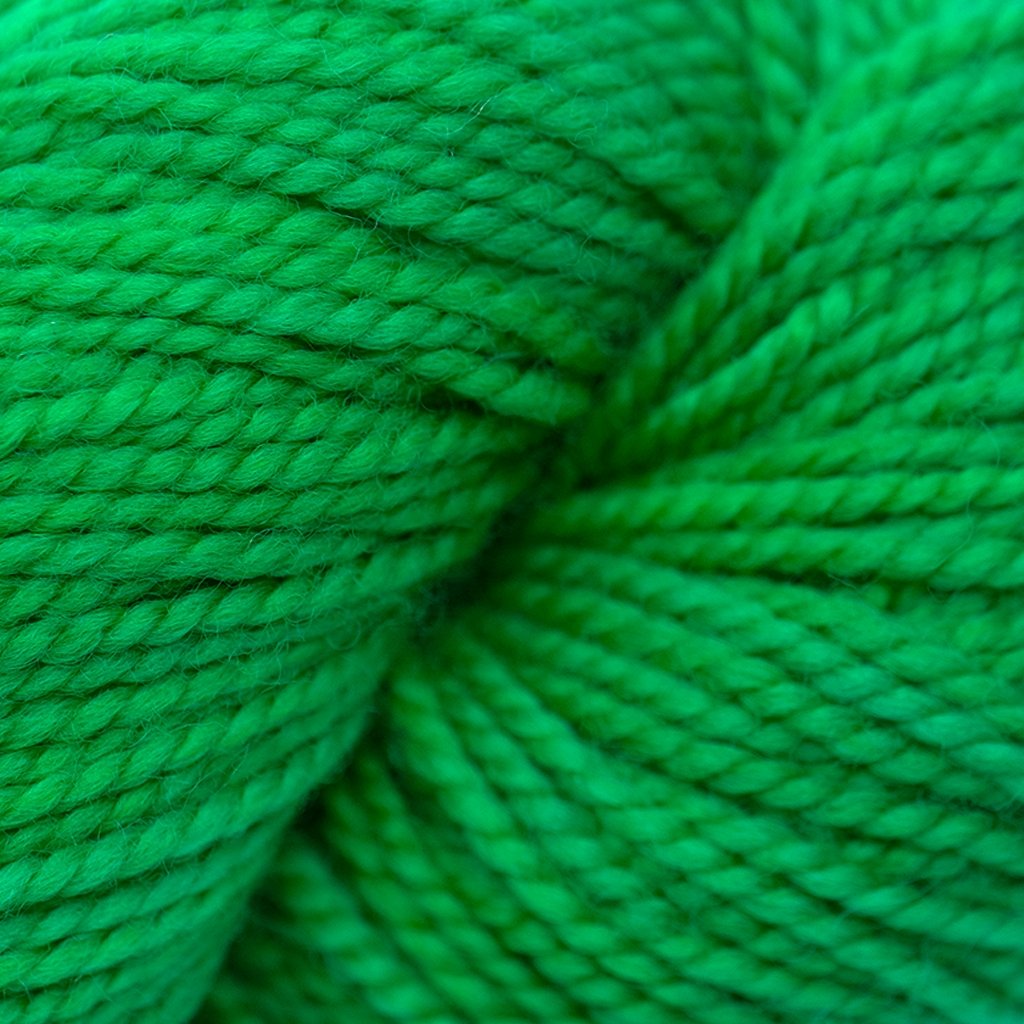 Koigu KPM (1000s) -1535 32573482 | Yarn at Michigan Fine Yarns