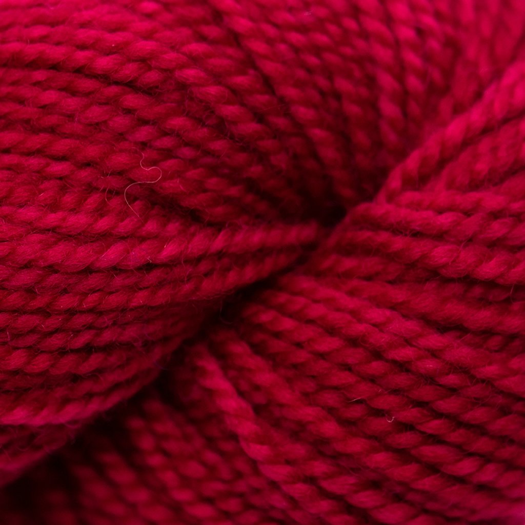 Koigu KPM (2000s) -2120 18491690 | Yarn at Michigan Fine Yarns