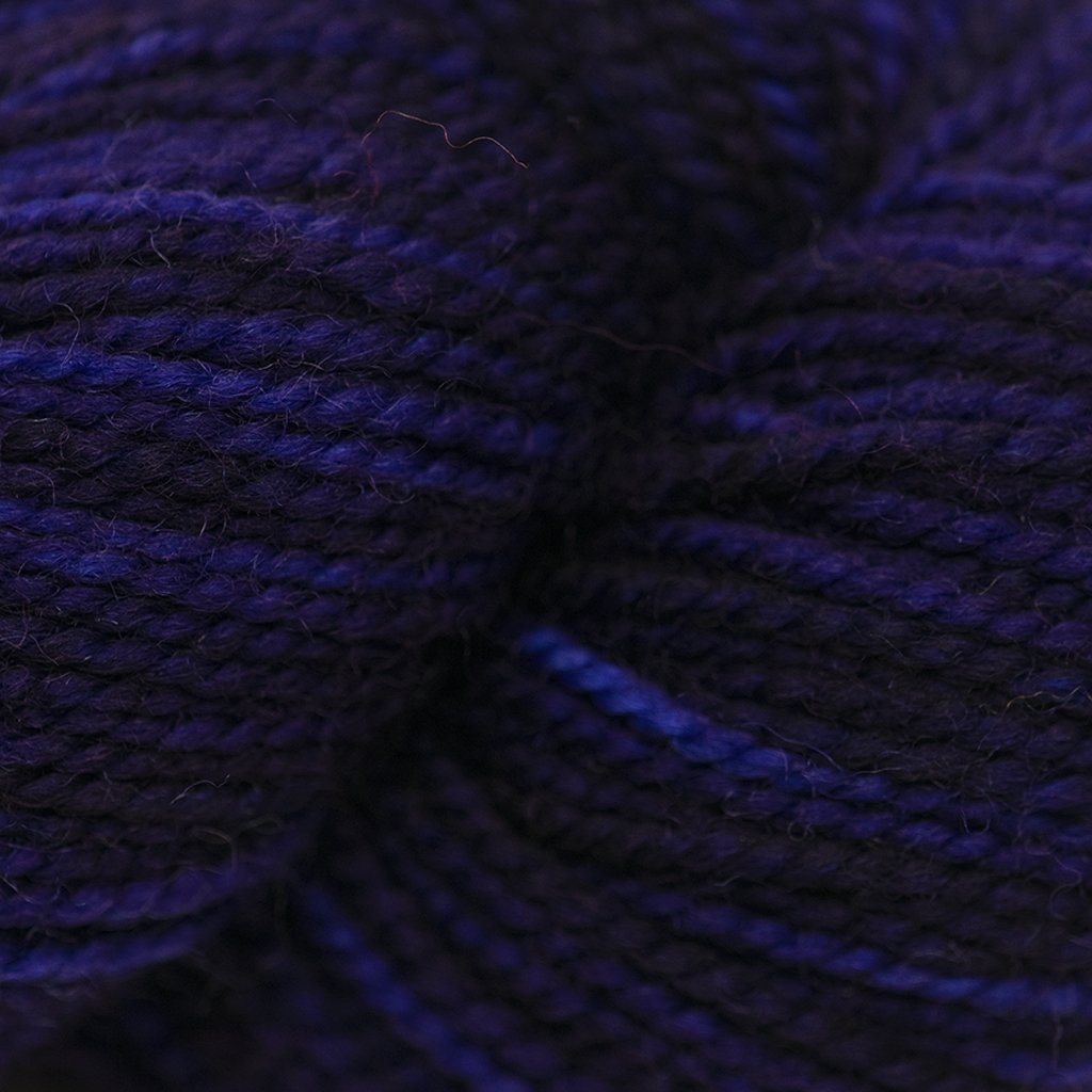 Koigu KPM (2000s) -2160 94650154 | Yarn at Michigan Fine Yarns