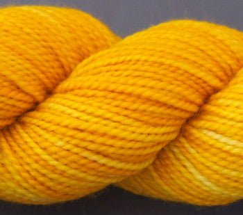 Koigu KPM (2000s) -2169 28346410 | Yarn at Michigan Fine Yarns