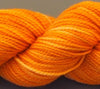Koigu KPM (2000s) -2200 28444714 | Yarn at Michigan Fine Yarns