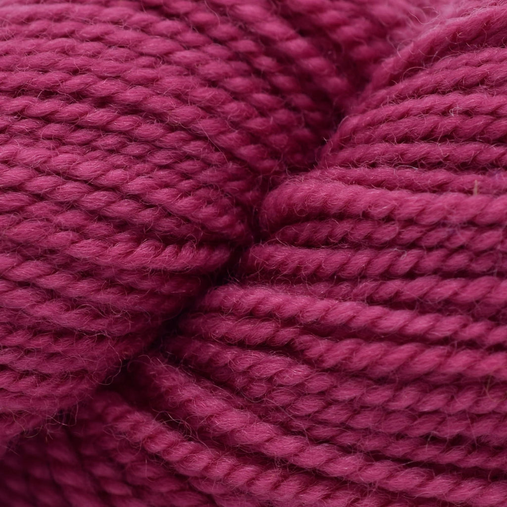 Koigu KPM (2000s) -2230 | Yarn at Michigan Fine Yarns