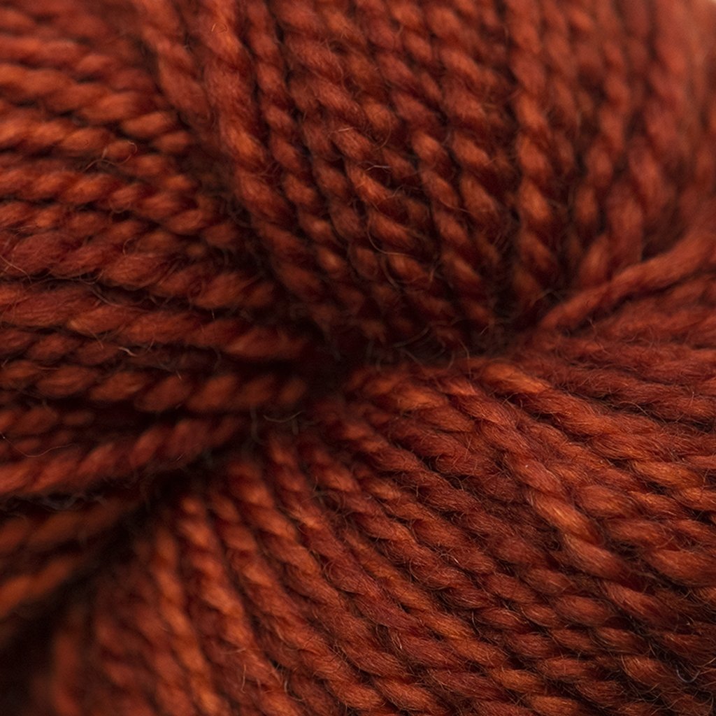 Koigu KPM (2000s) -2389-0004 96059178 | Yarn at Michigan Fine Yarns