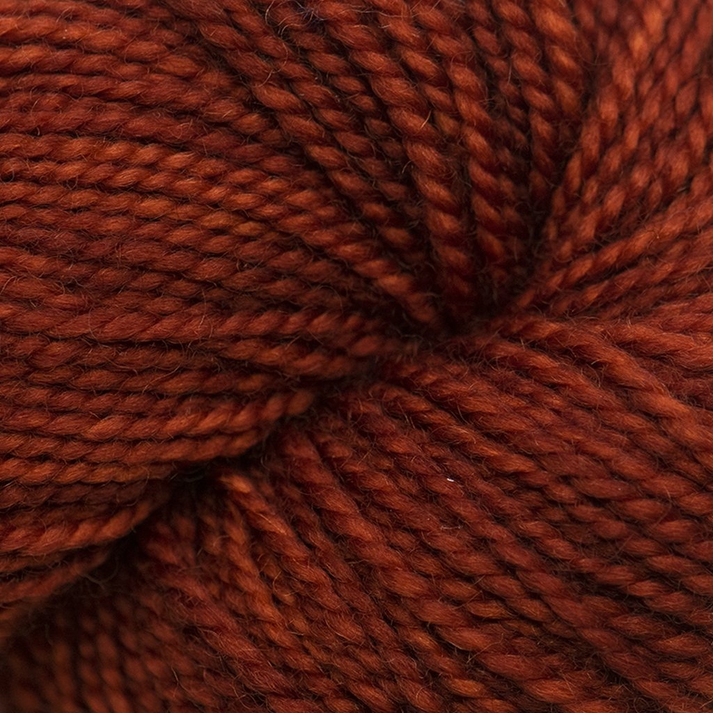 Koigu KPM (2000s) -2389-0005 97173290 | Yarn at Michigan Fine Yarns