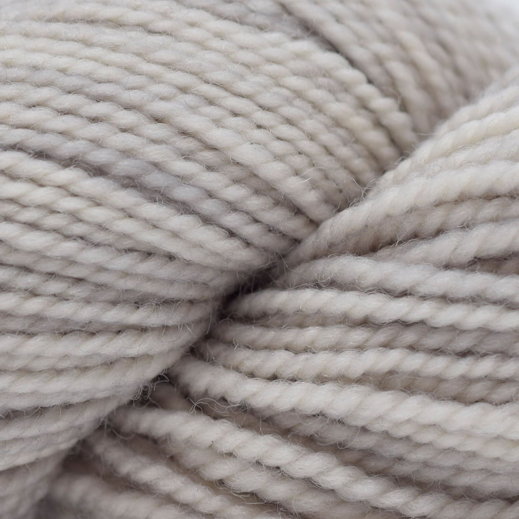 Koigu KPM (2000s) -2422 | Yarn at Michigan Fine Yarns